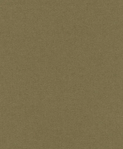 Surfaces SF1205